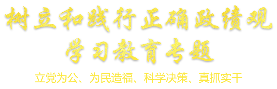 樹立和踐行正確政績觀學(xué)習(xí)教育專題